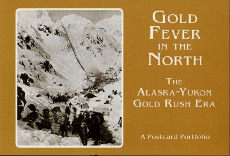 Gold Fever in the North