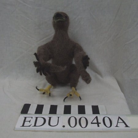 Felt Eagle life size fledgling model- front
