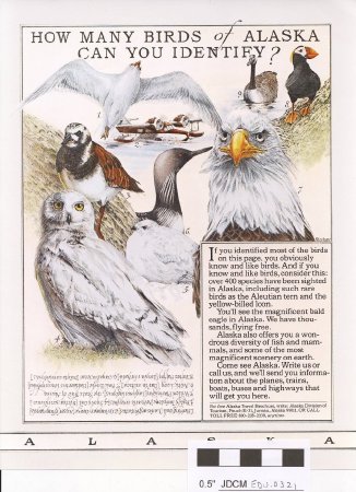 HOW MANY BIRDS of ALASKA CAN YOU IDENTIFY?