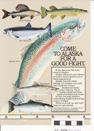 COME TO ALASKA FOR A GOOD FIGHT fishing poster